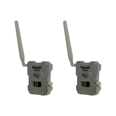 Pack Flex M x2 Spypoint