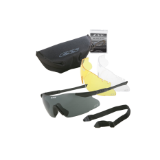 Lunettes de protection ICE Naro 3LS ESS
