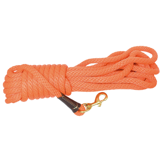 Longe corde orange pour chien Country