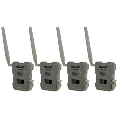 Pack Flex M x4 Spypoint