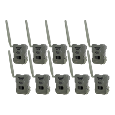 Pack Flex M x10 Spypoint