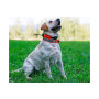 Collier d'entraînement/GPS X30 Dog Trace