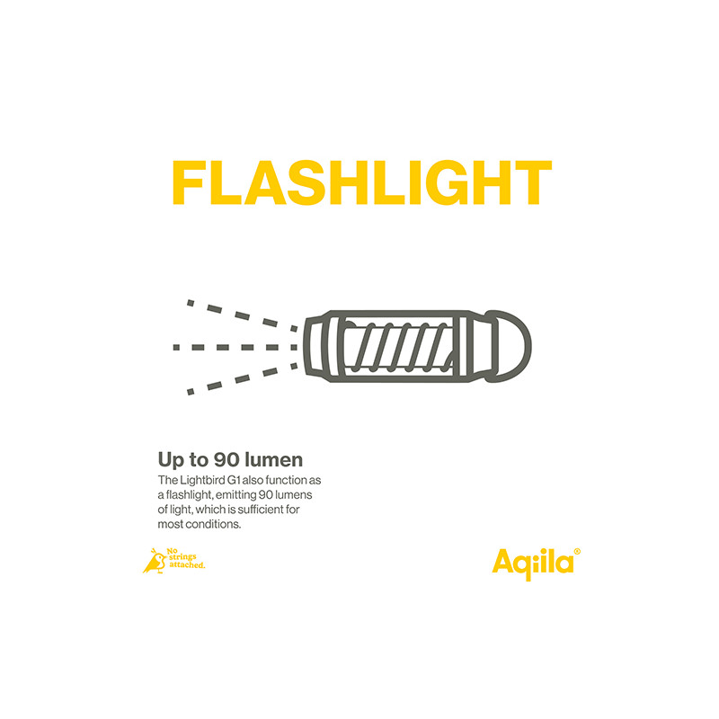 Lampe De Poche Et Lumière Fluorescente Rechargeable Lightbird