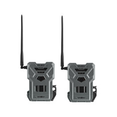 Pack Flex Dark x2 Spypoint