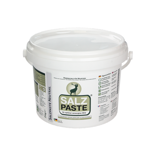 Pâte de sel 2kg